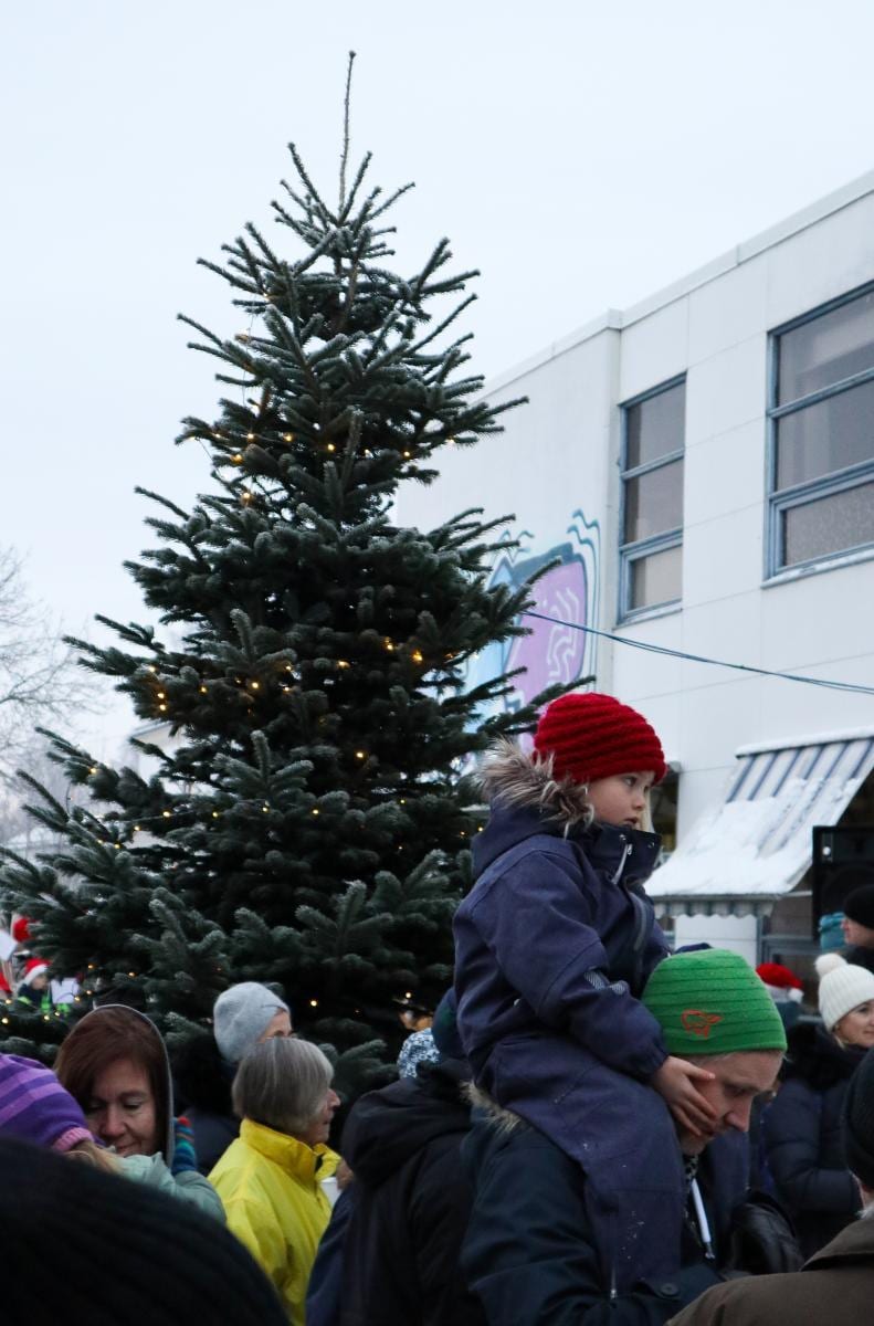 Julegrantenning 2019, bilde 30