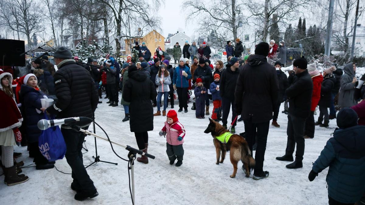 Julegrantenning 2019, bilde 18