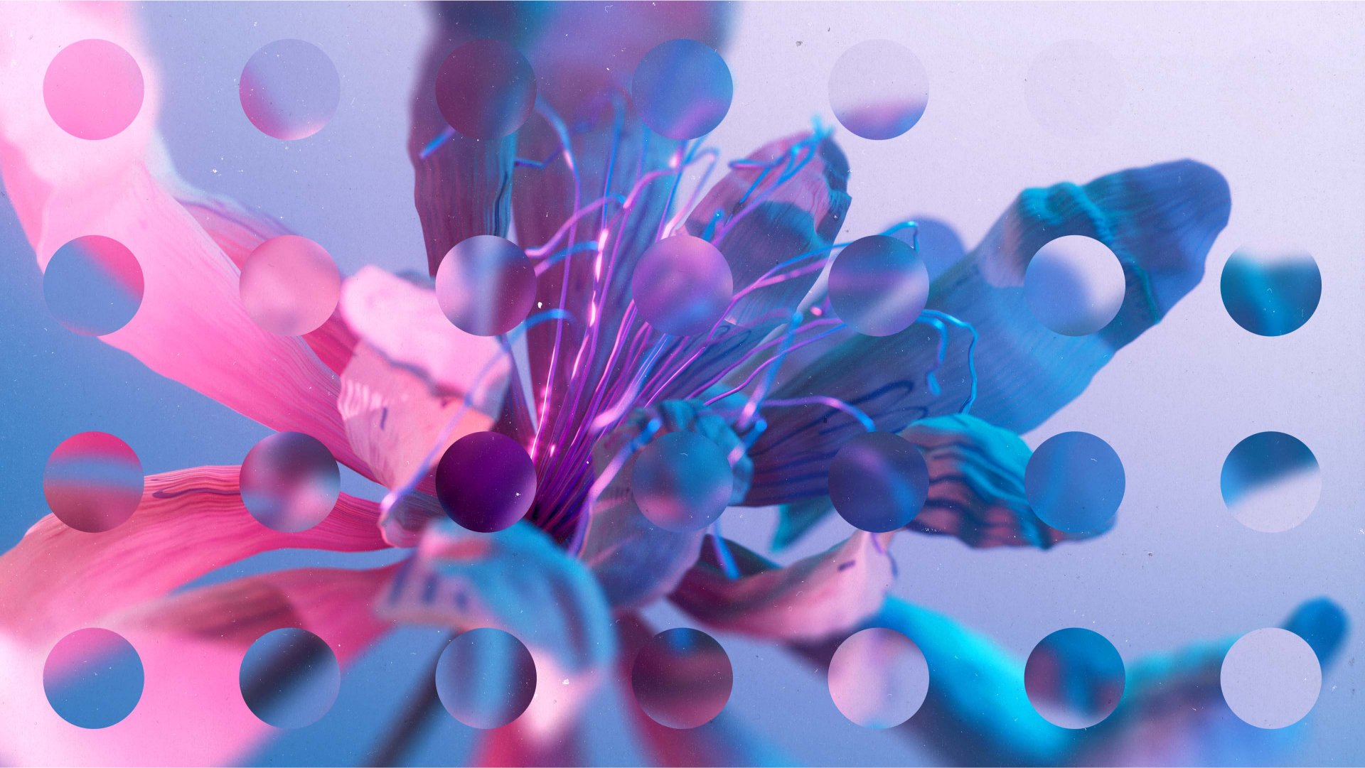 Vibrant flower with dot grid overlayed