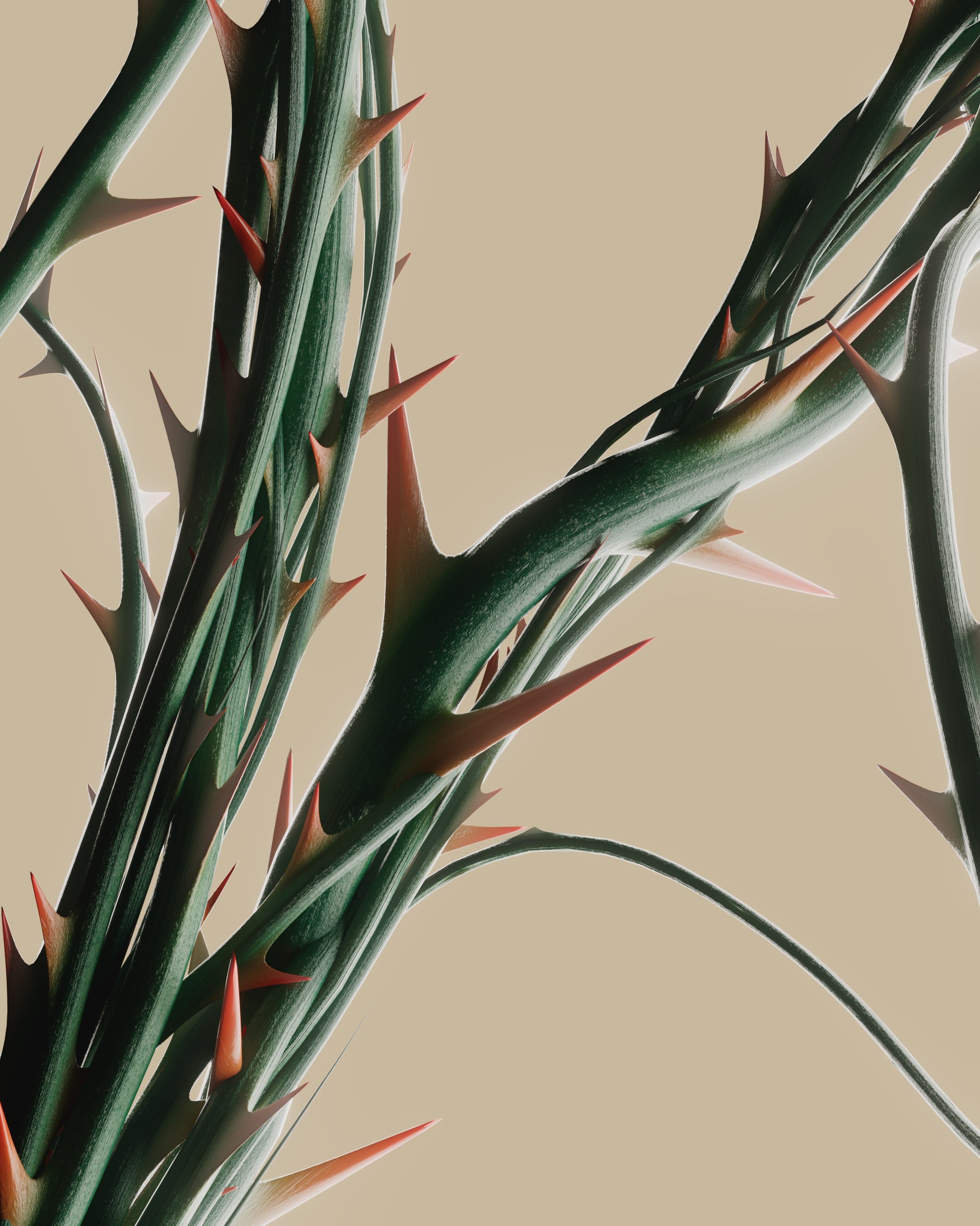 Close up of thorns on vines