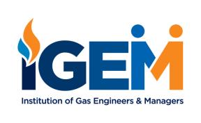 IGEM logo