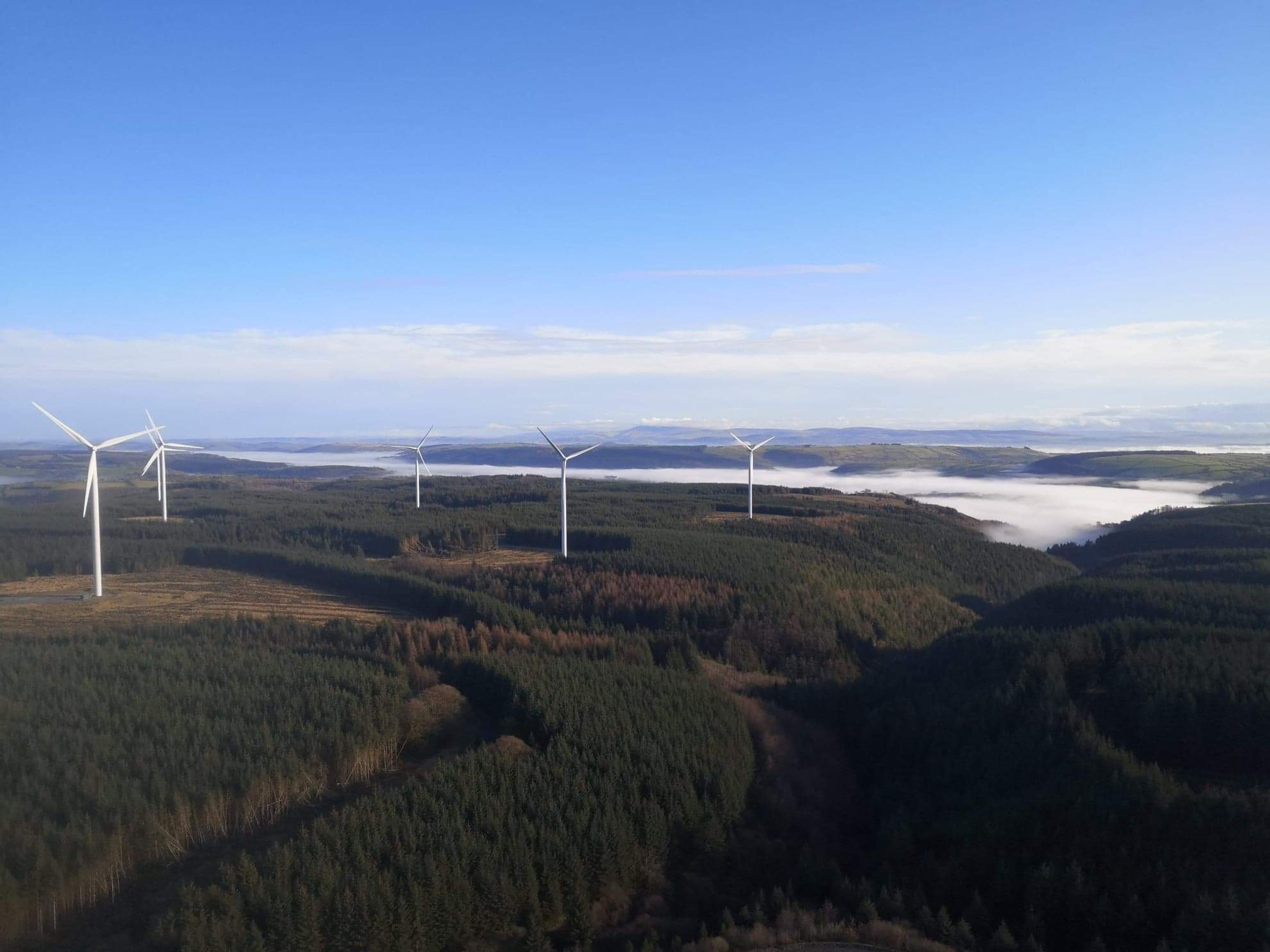 Four smiling women holding drinks at an event.