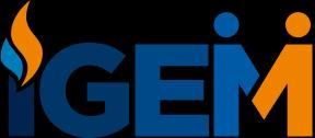 IGEM logo