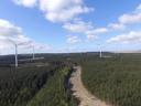 an aerial view of a wind farm in the middle of a forest .