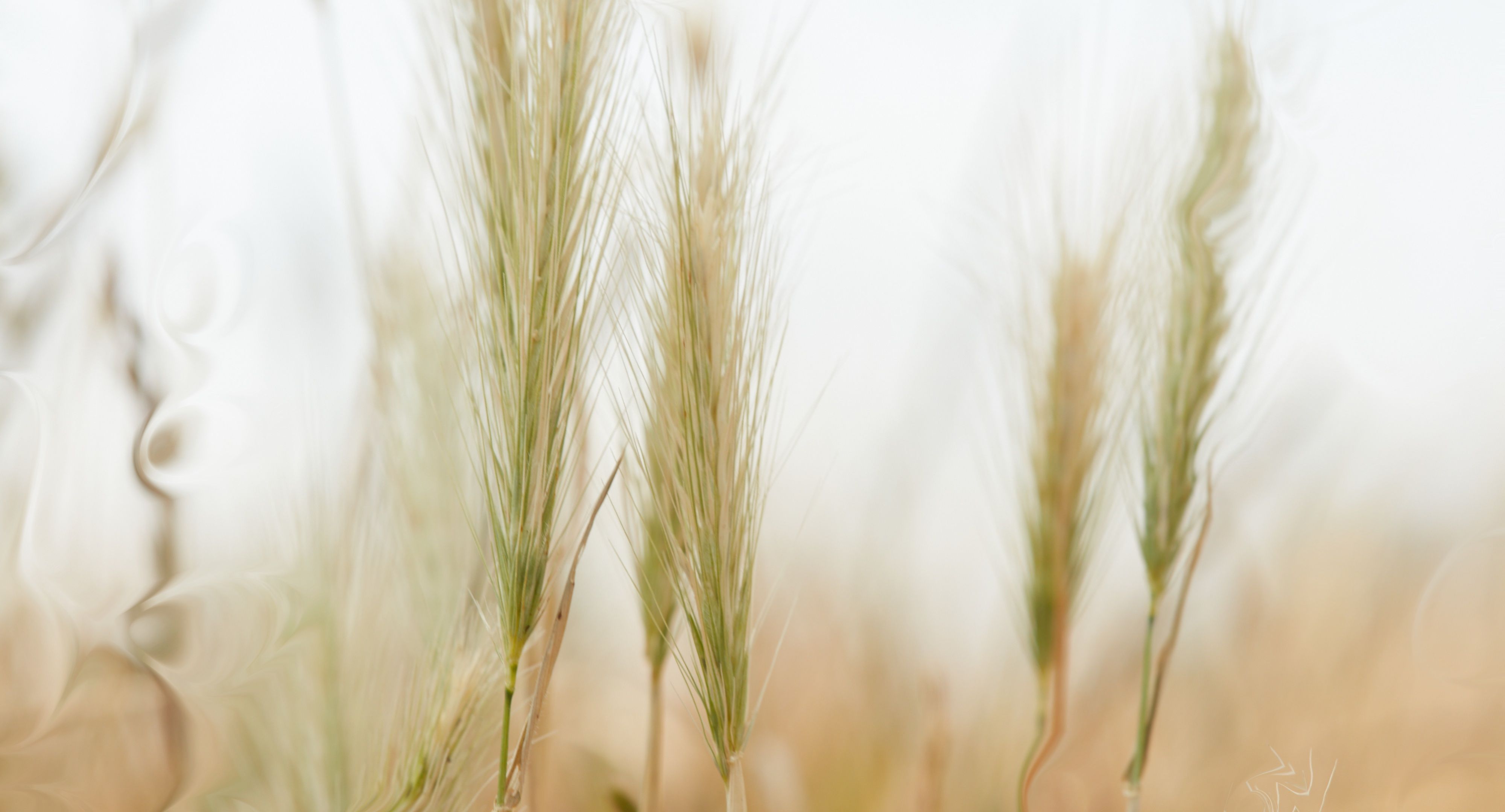 Does Melatonin Cause Lucid Dreams - Instagram - Insomnia Fast Sleep For Lucid Dreams