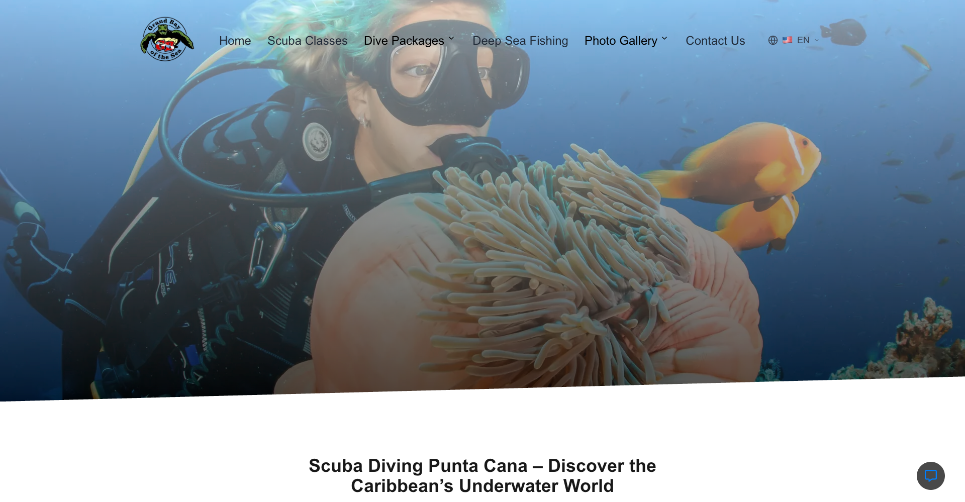 Cómo Construimos un Sitio Web de Buceo en Punta Cana que Aumentó las Conversiones en 200%