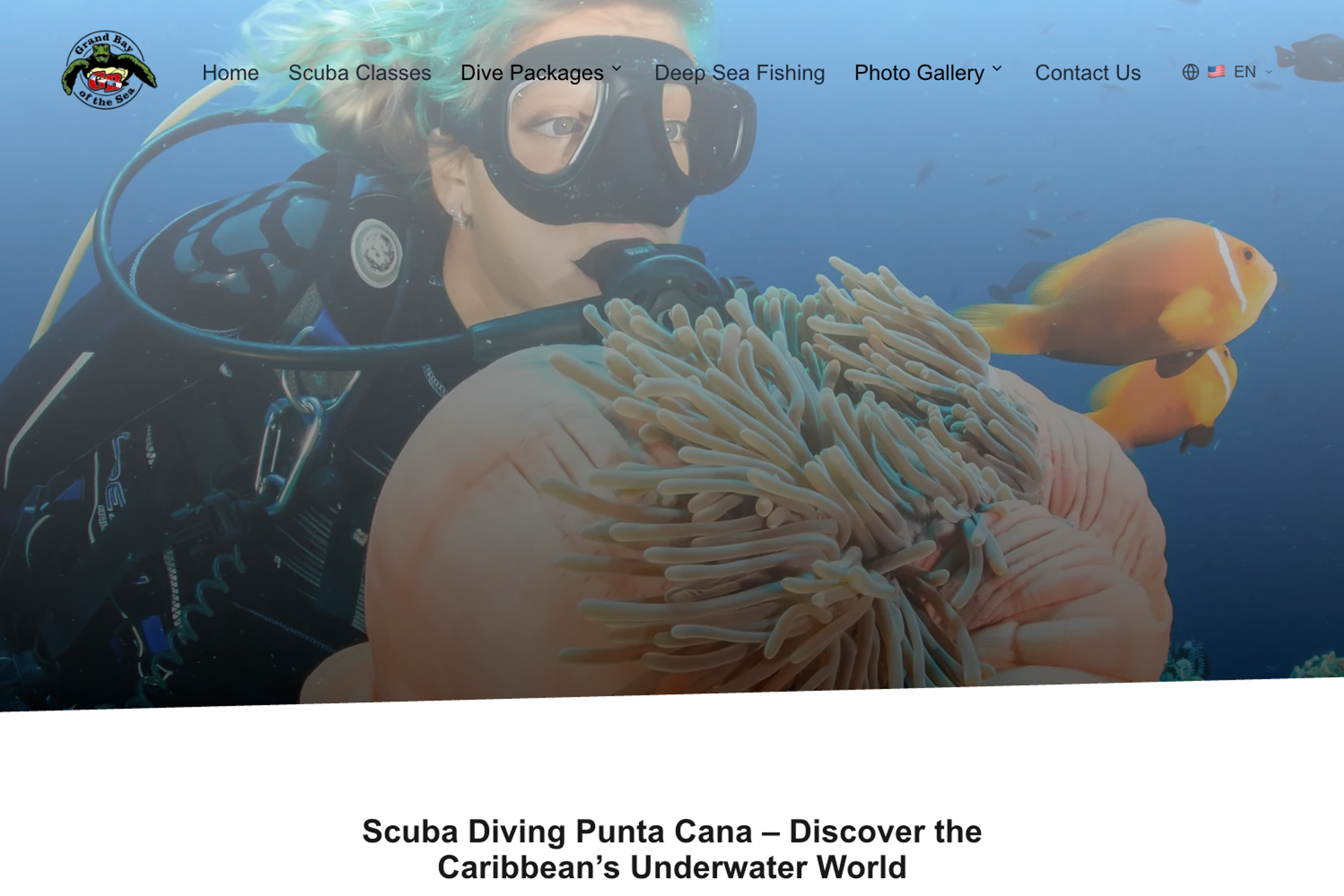 Cómo Construimos un Sitio Web de Buceo en Punta Cana que Aumentó las Conversiones en 200%