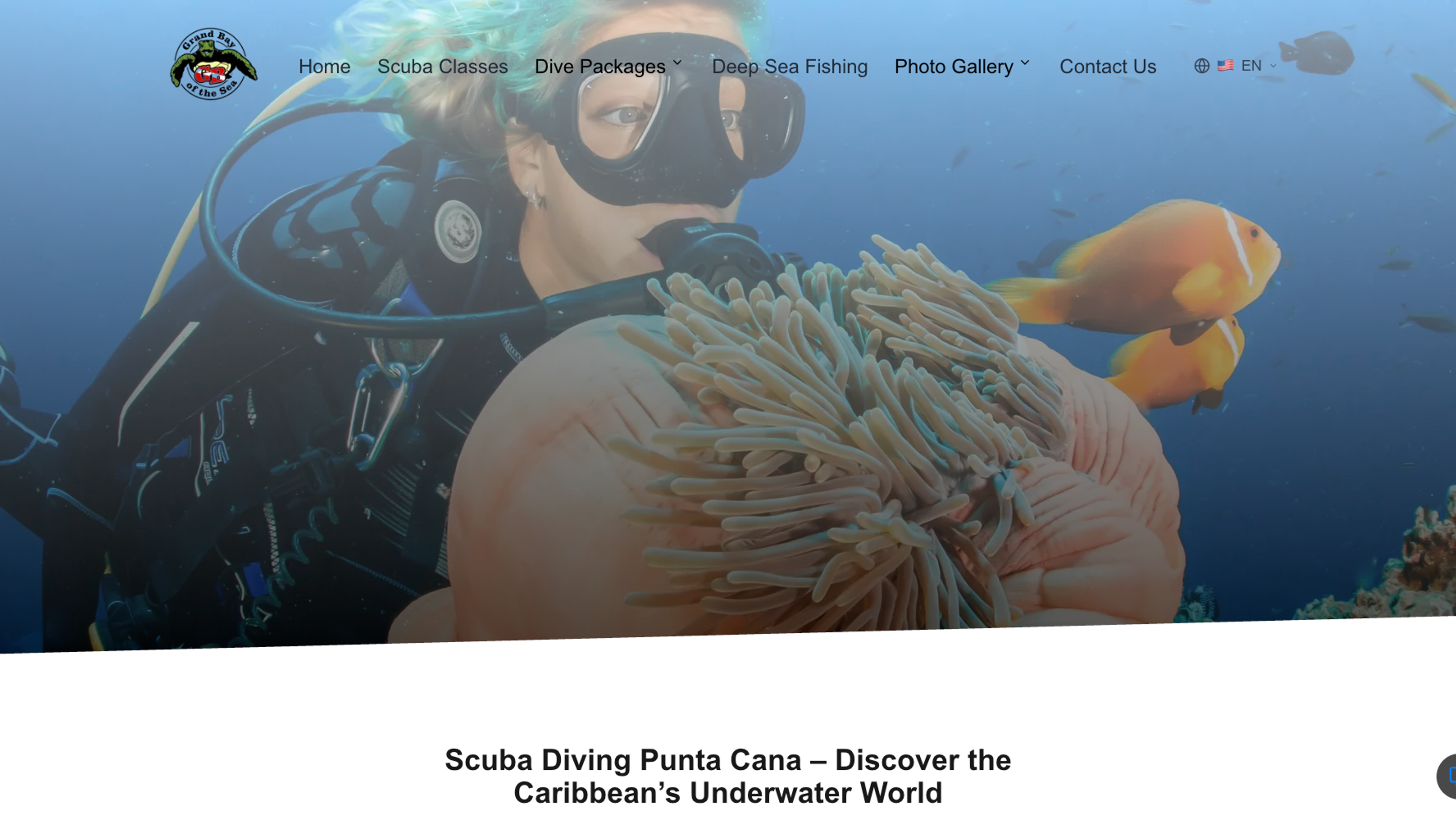 How We Built a Booking-First Dive Center Website That Increased Conversions 200% in Punta Cana
