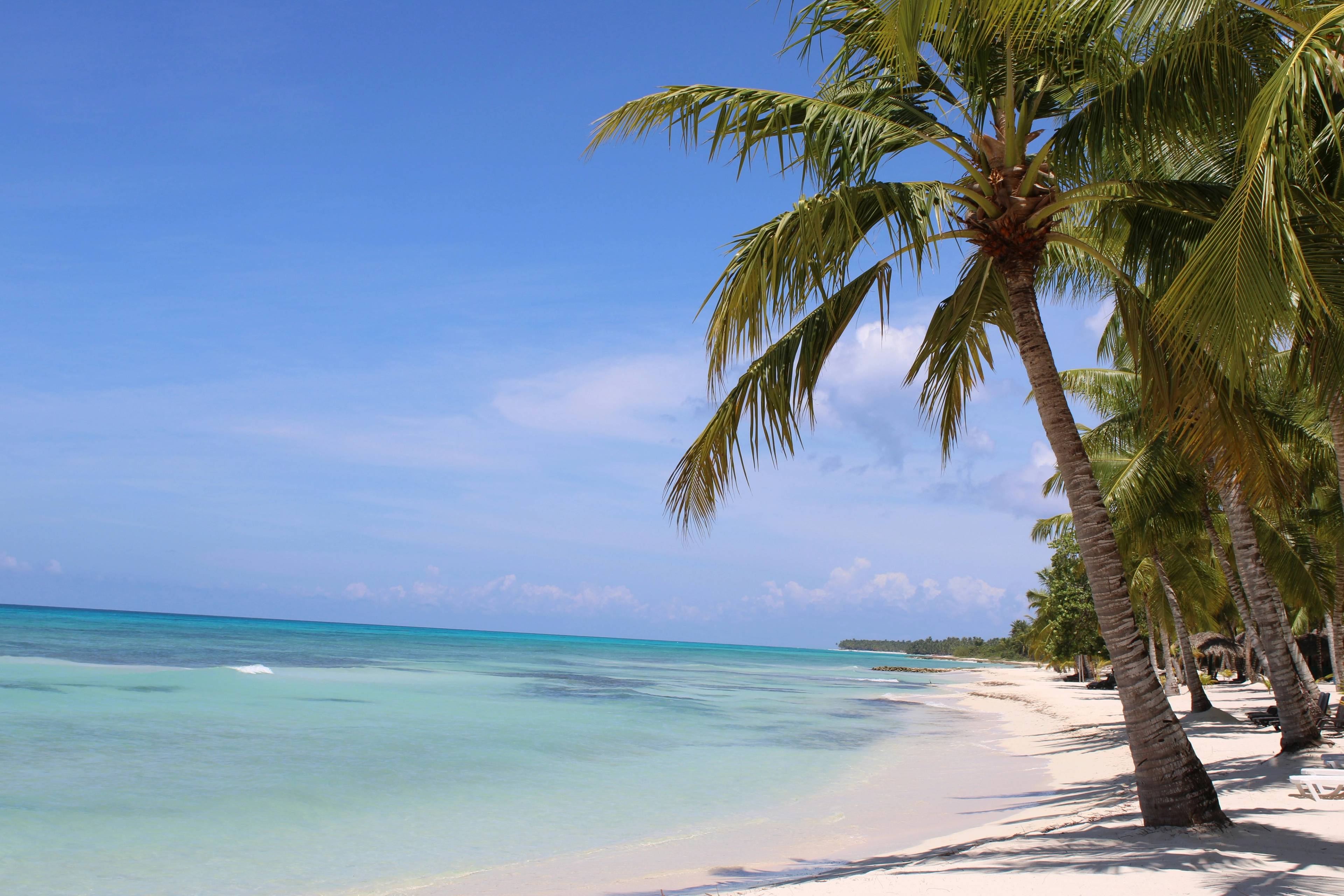 Diseño de Páginas Web en Punta Cana
