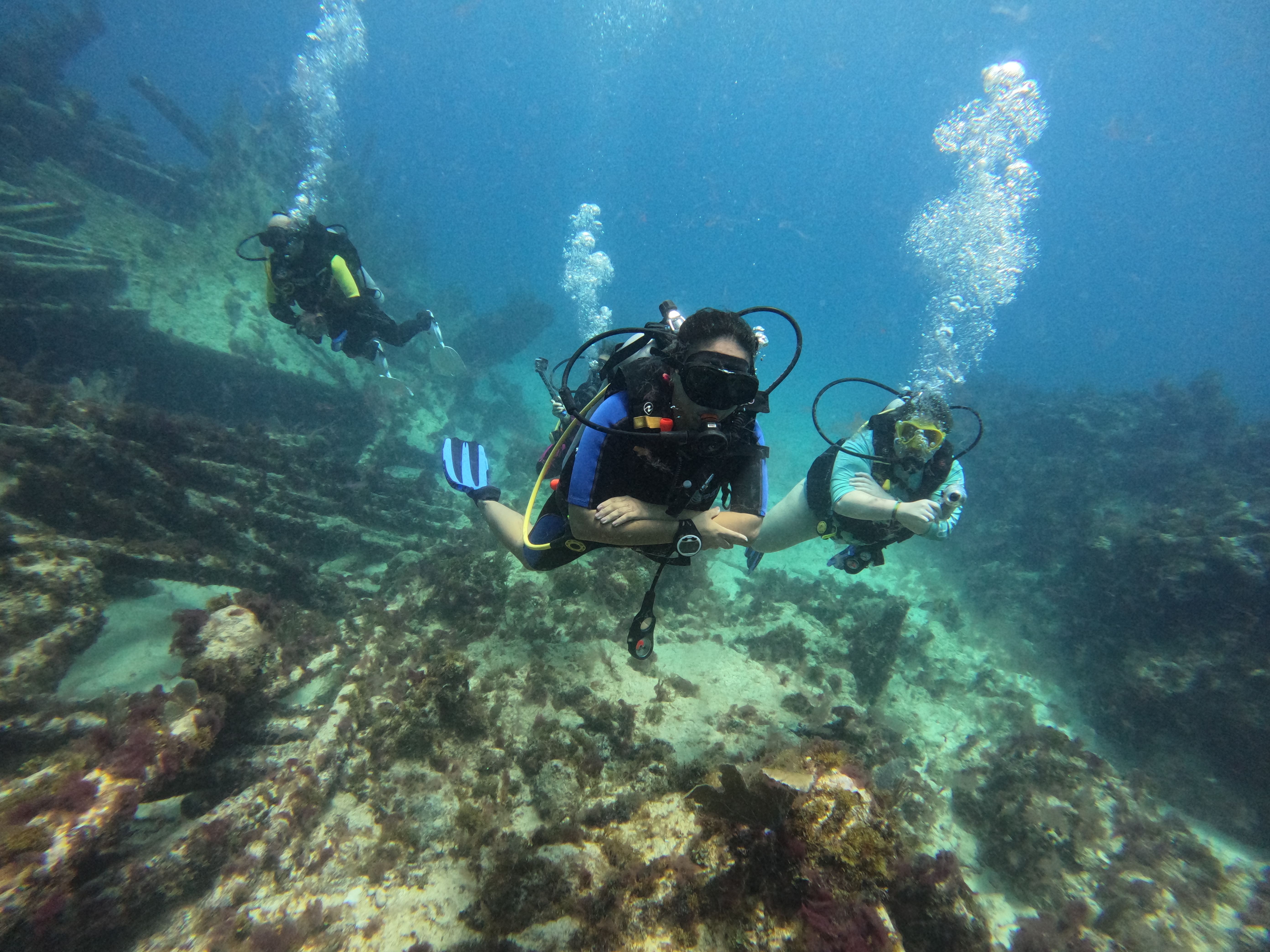 Páginas Web para Tiendas de Buceo y Escuelas de Deportes Acuáticos en RD