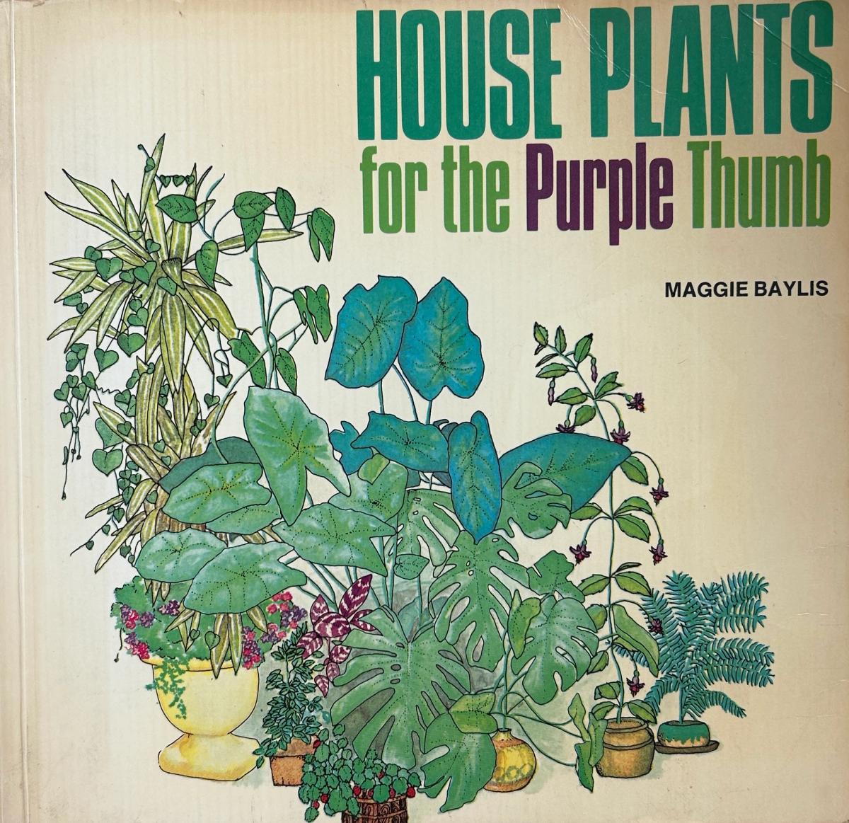 House Plants for the Purple Thumb