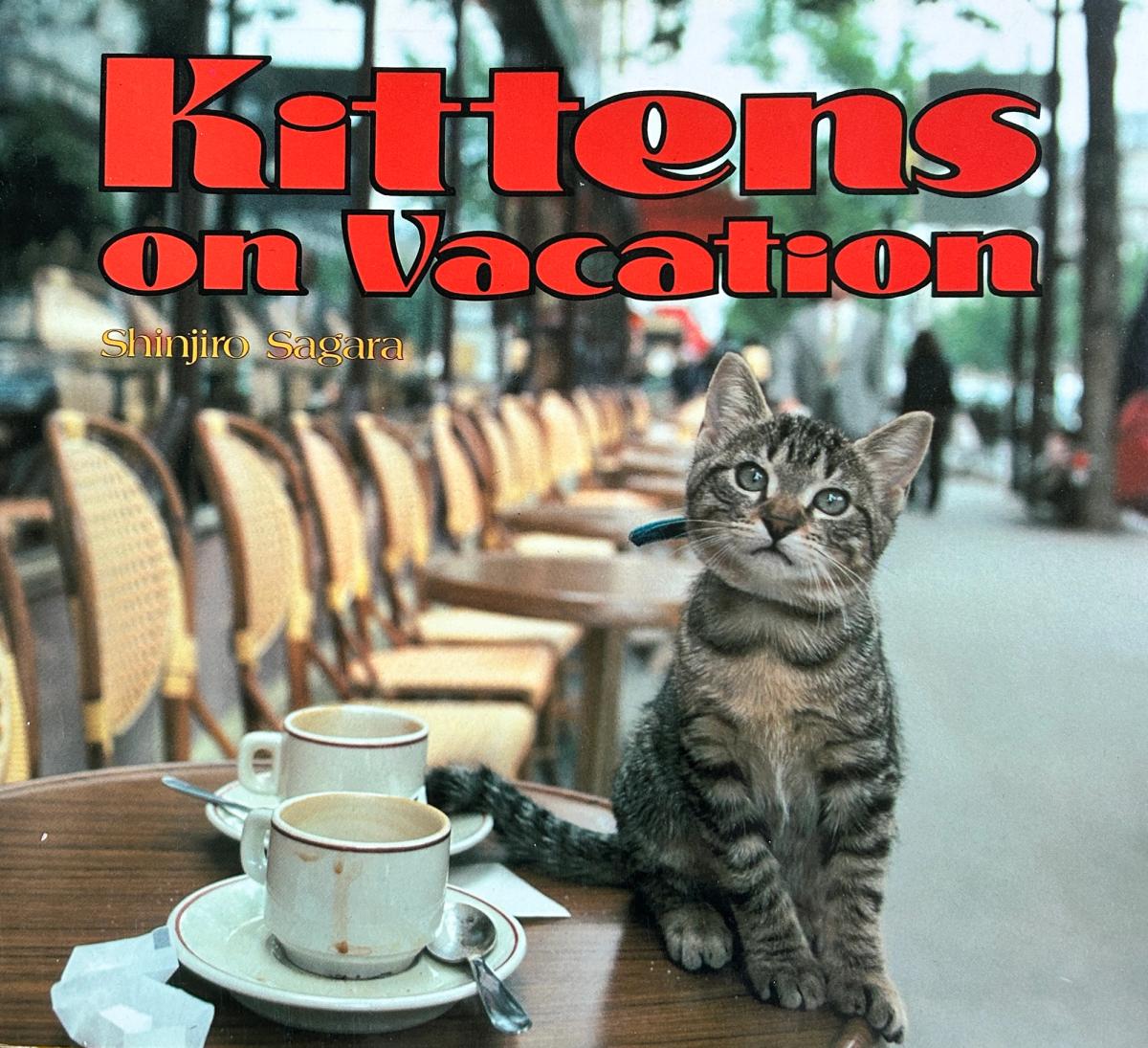 Kittens on Vacation