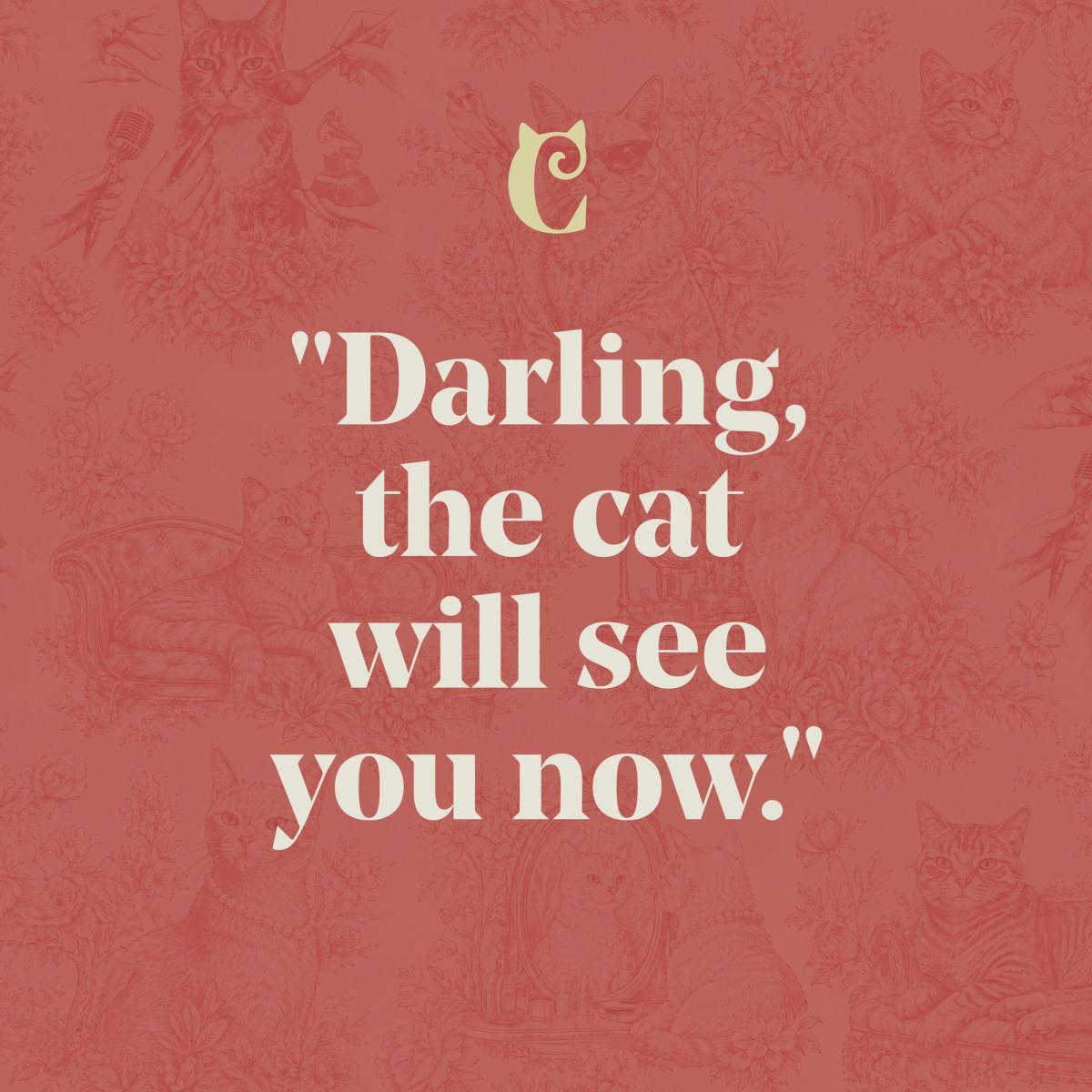 Campaign square: Darling, the cat will see you now