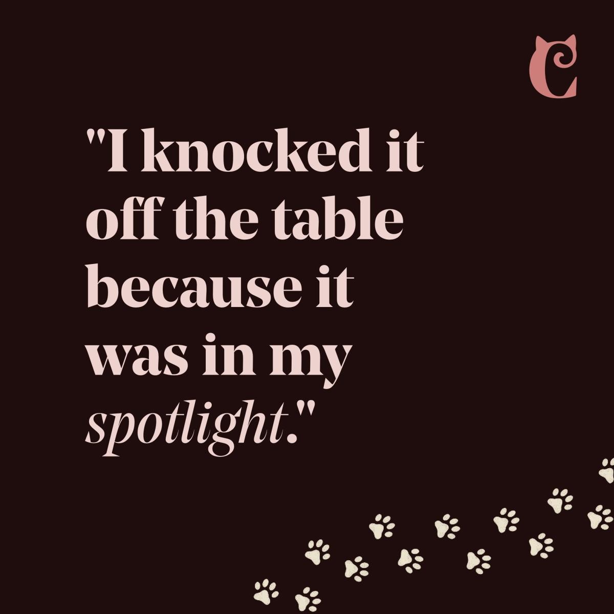Campaign square: I knocked it off the table because it was in my spotlight