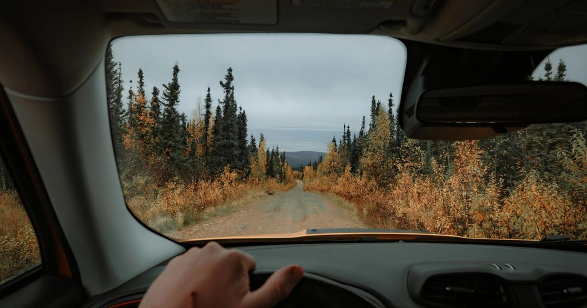 Driving on a forest road in daylight