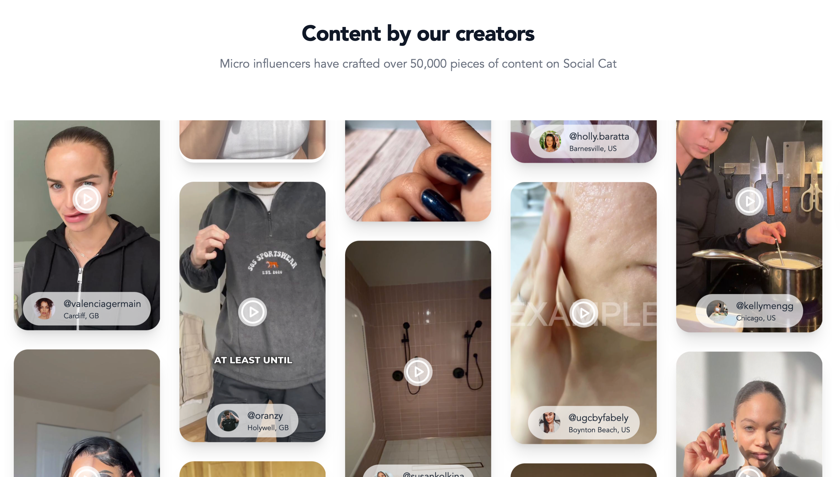 Social Cat product page content