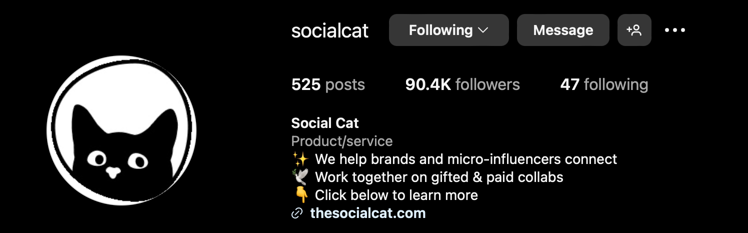 Social Cat Instagram bio