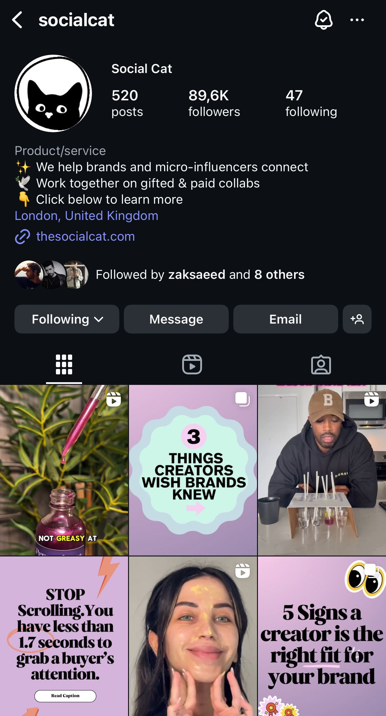 Social Cat Instagram Profile