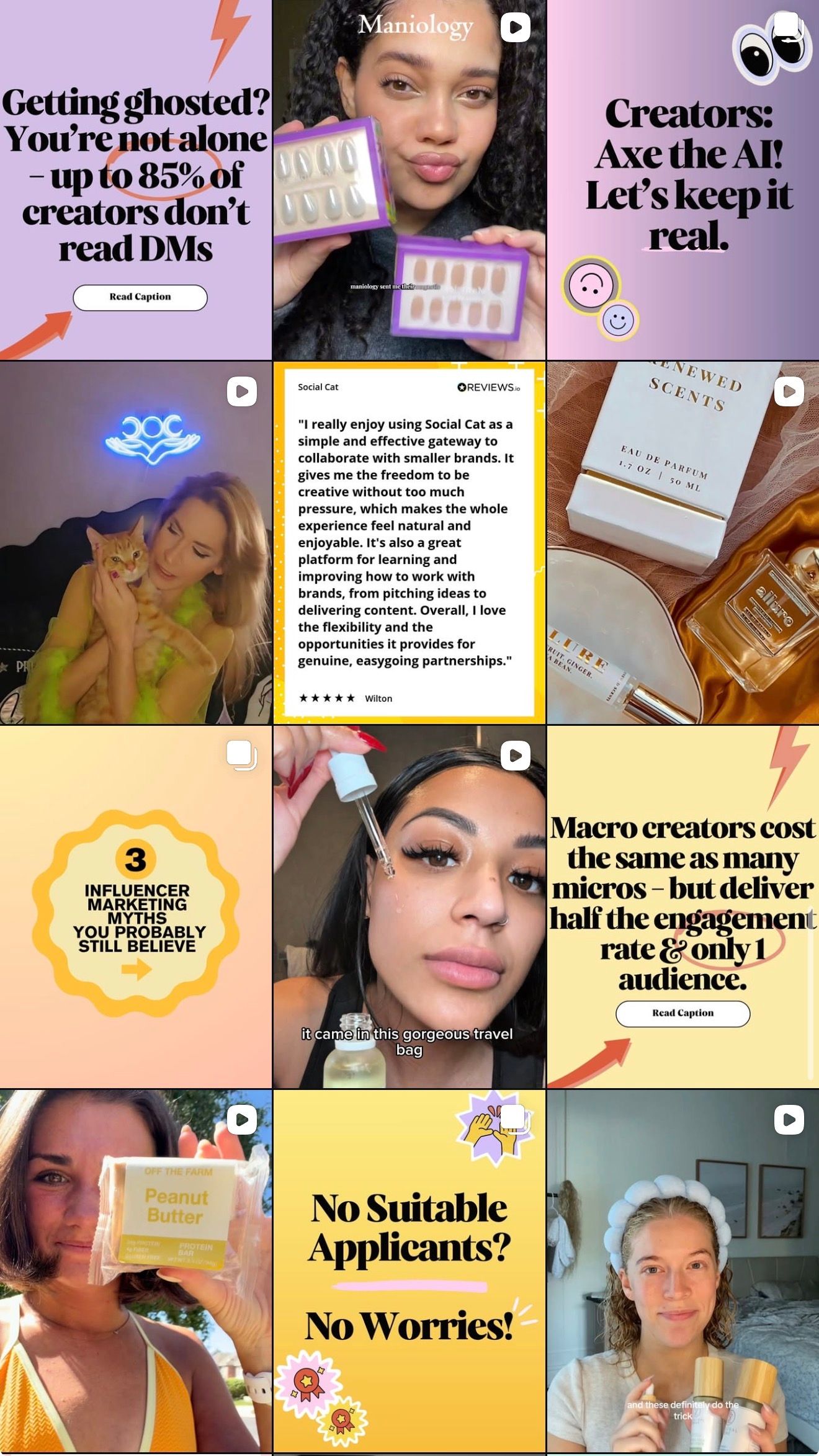 Social Cat Instagram Page