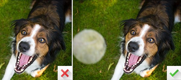 how to crop a photo