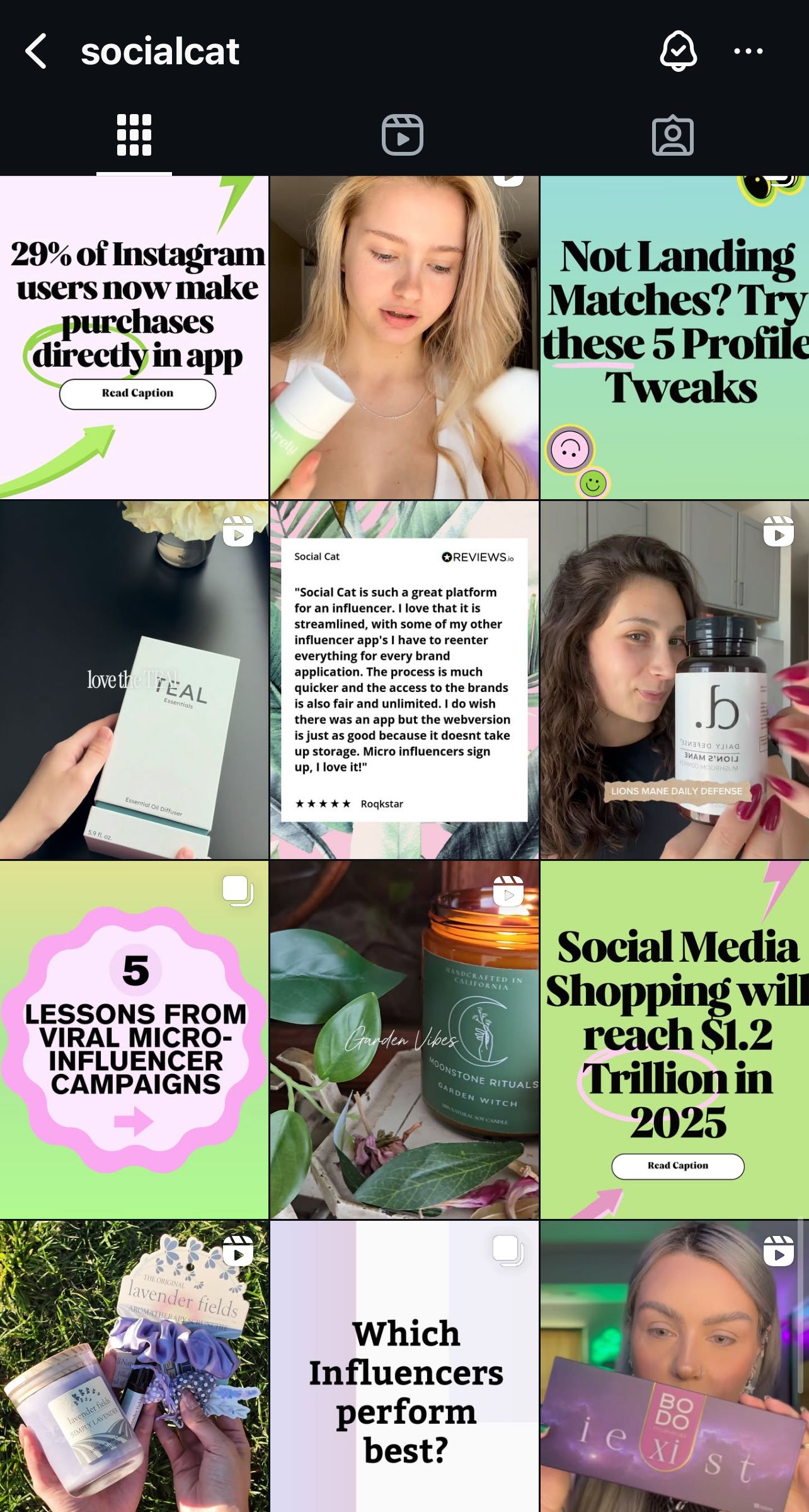 Social Cat Instagram Feed