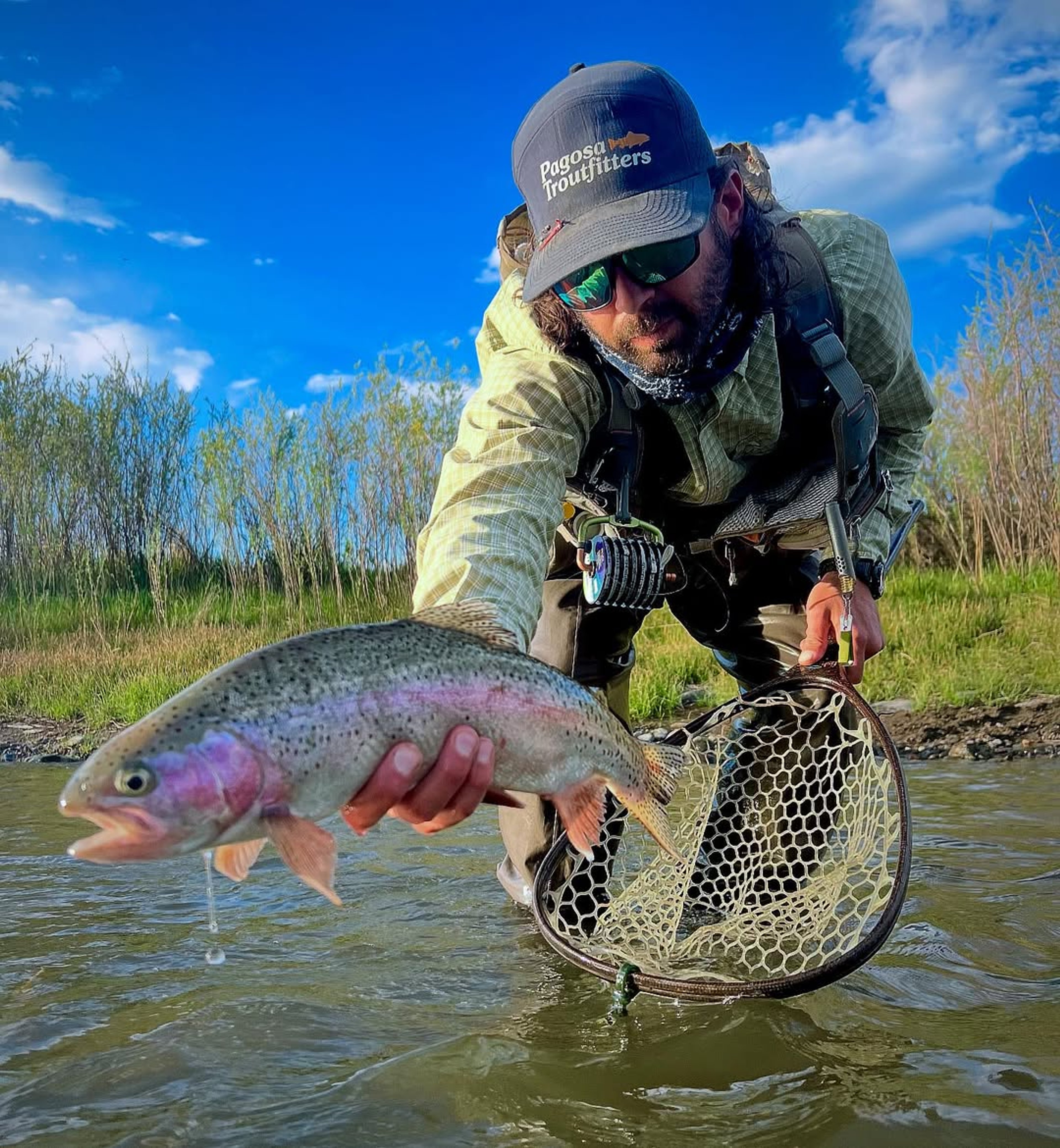 Rainbow trout held on private water near Pagosa Springs