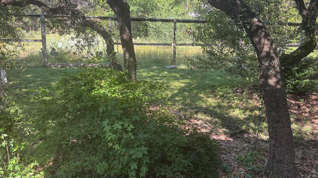 Why Are There So Many Mosquitoes This Year? North San Antonio Residents Are Feeling the Bite
