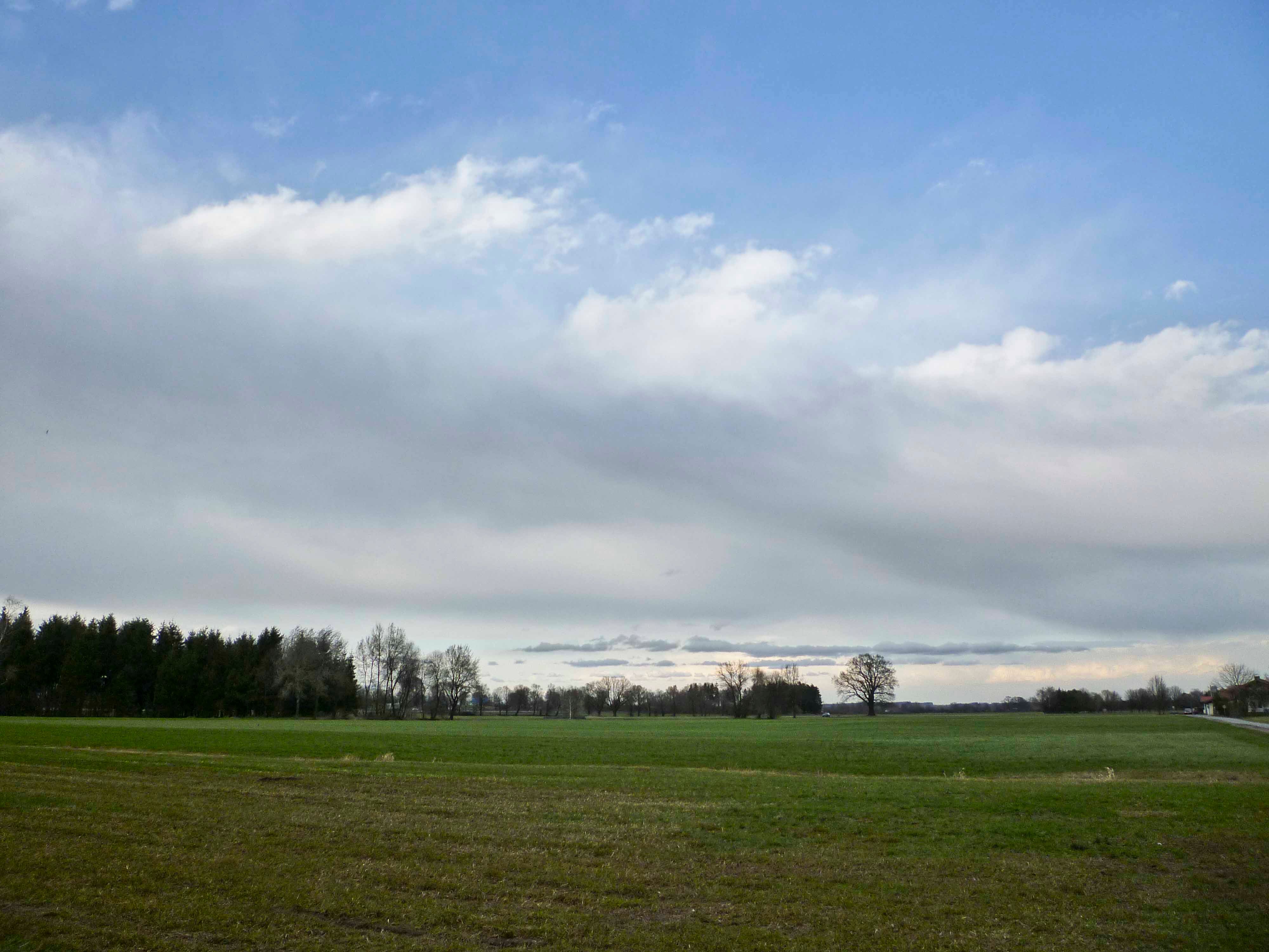 Clouds drifting over a summer landscape under a blue sky.