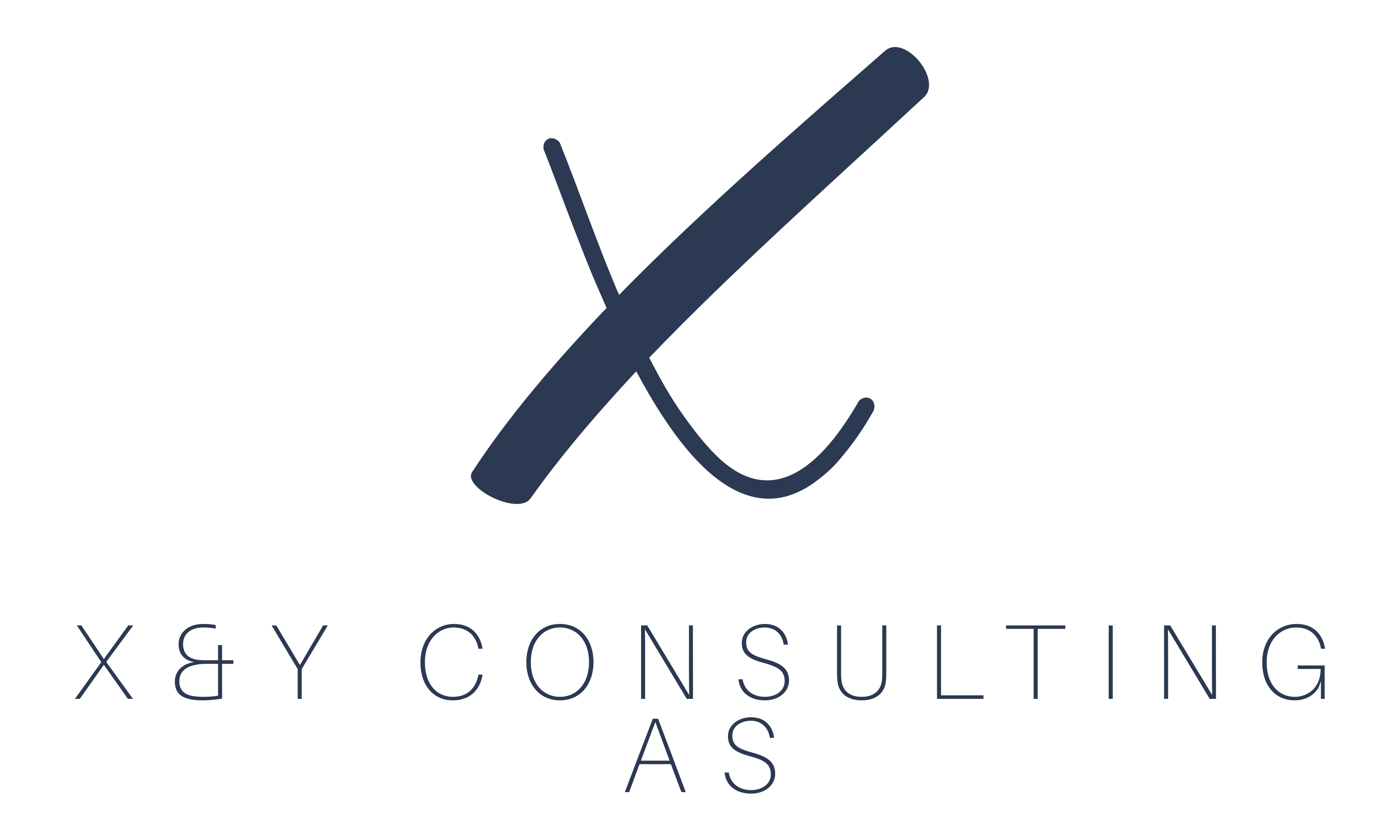 X&Y Consulting AS logo