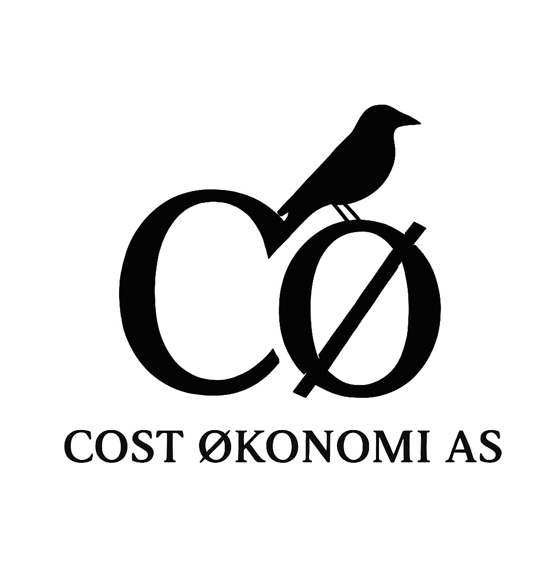 Cost Økonomi AS logo
