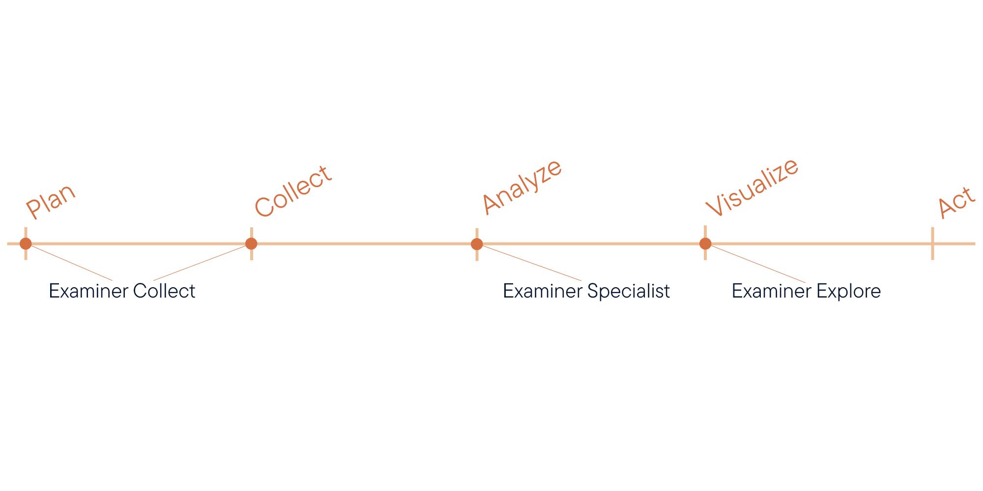 Examiner Specialist