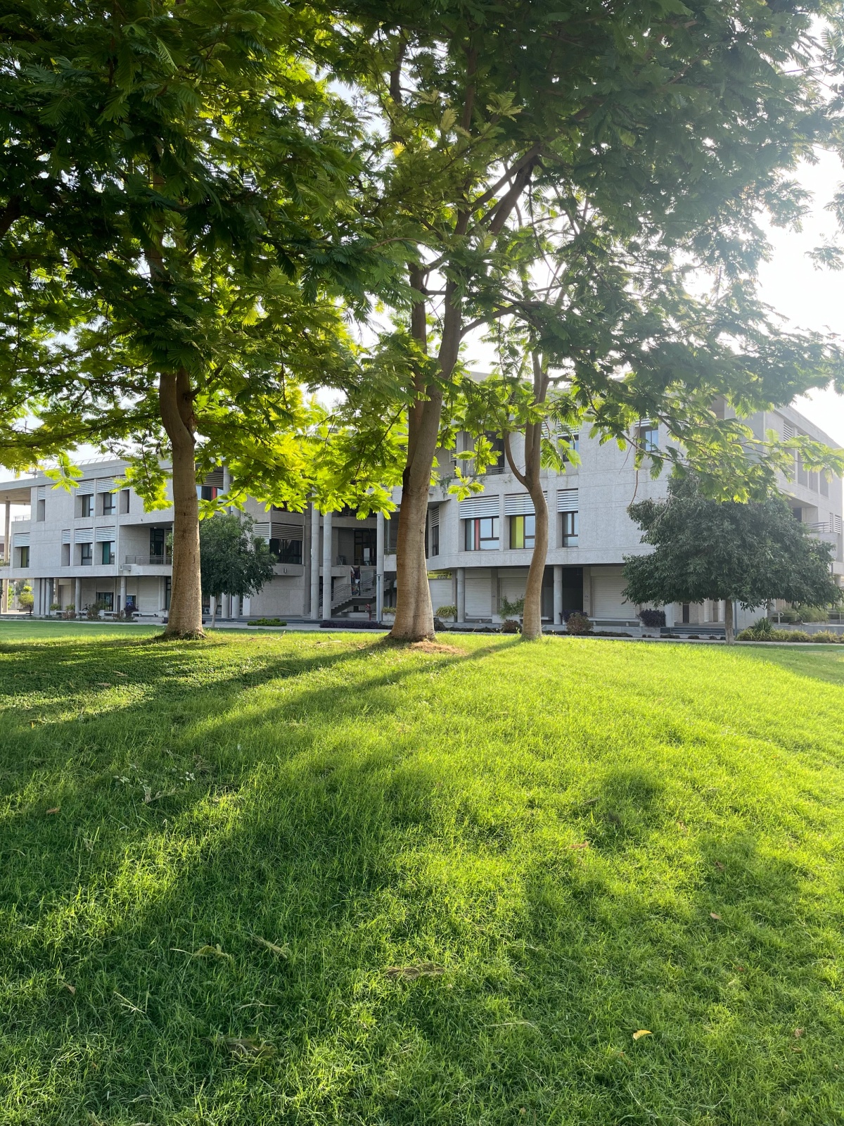 i mean i don’t think there’s a better morning than this