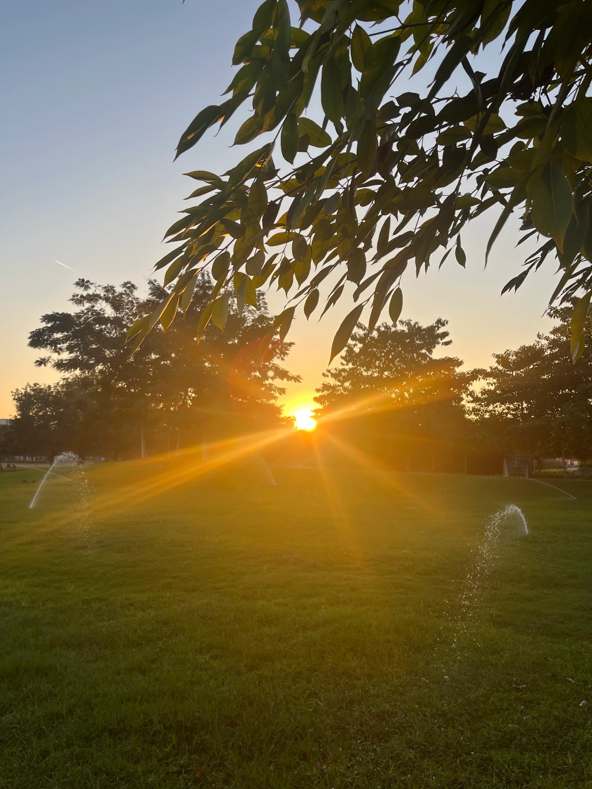 tranquility, i.e. evening walks at iit gandhinagar