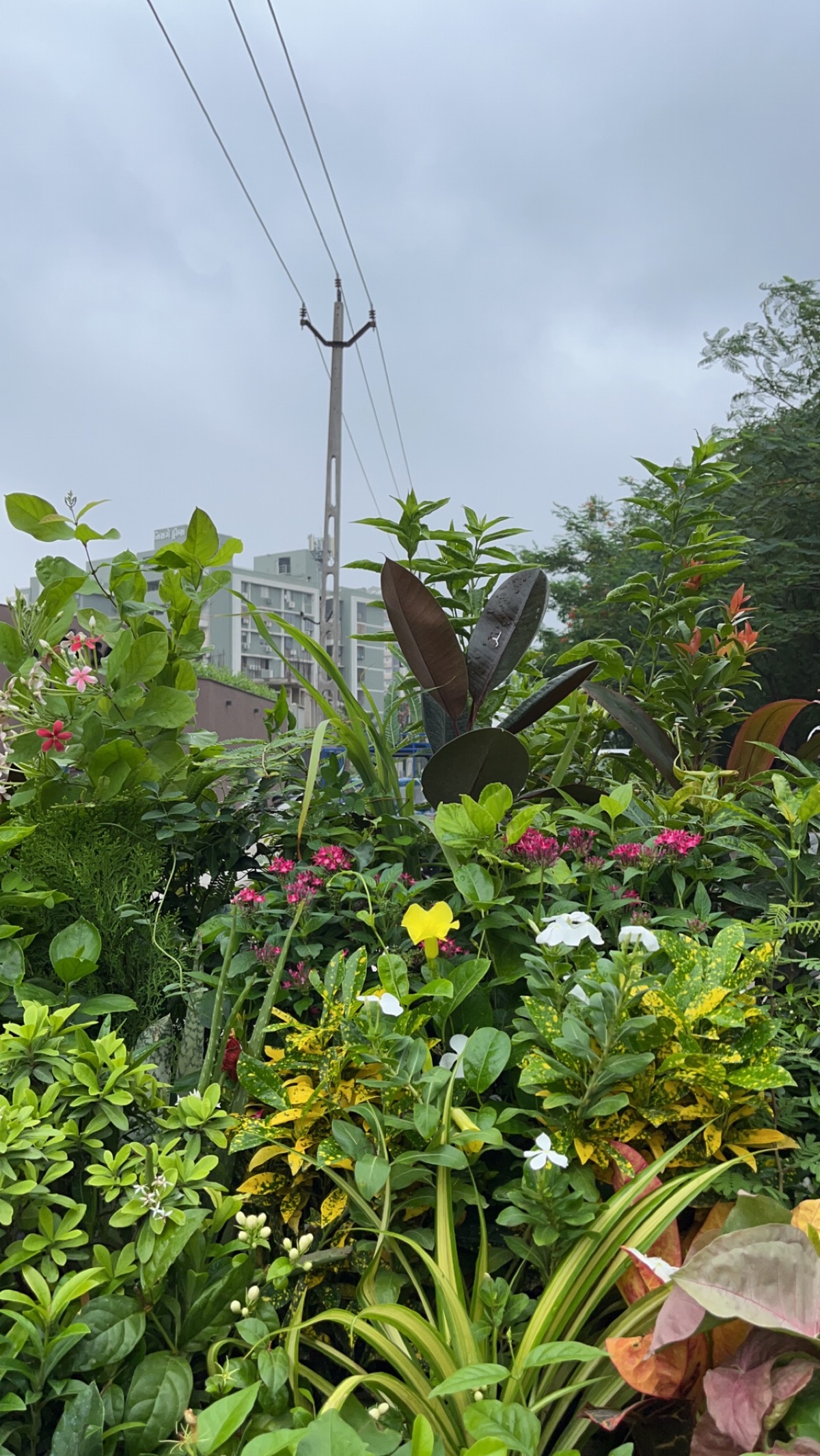 this place and time in ahmedabad was something i dreamt of, everything i could've asked for as a 20yo