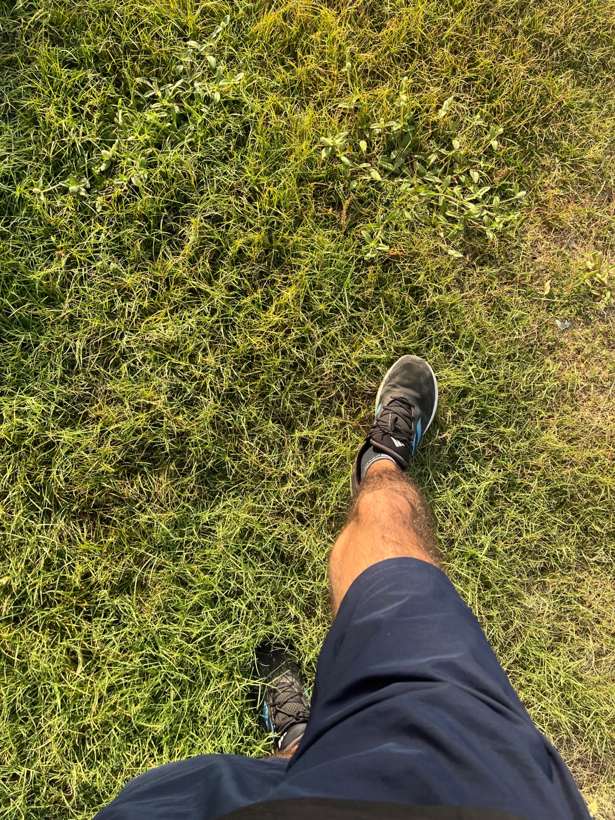 iit gandhinagar is a 1st world country experience 