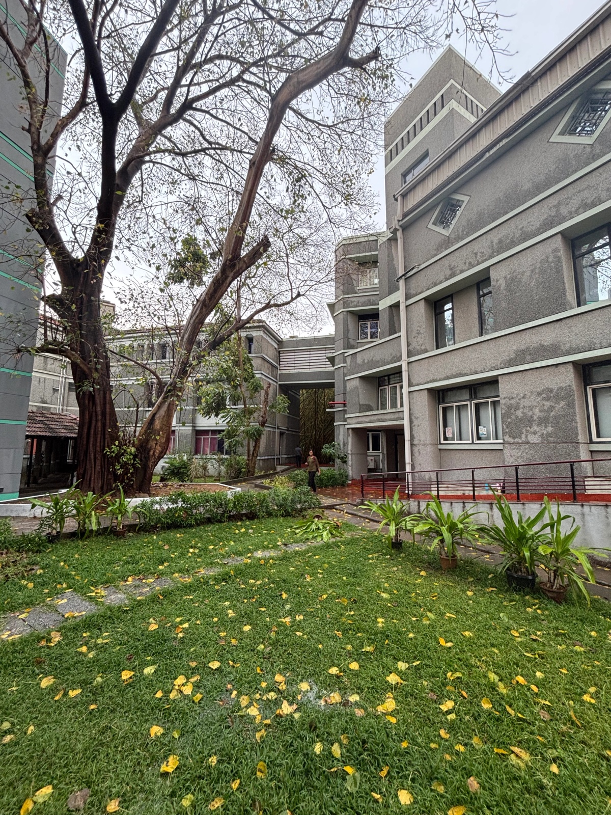 that one summer rain really brightens up everything + i gotta say mse campus’ this part is quite greennn