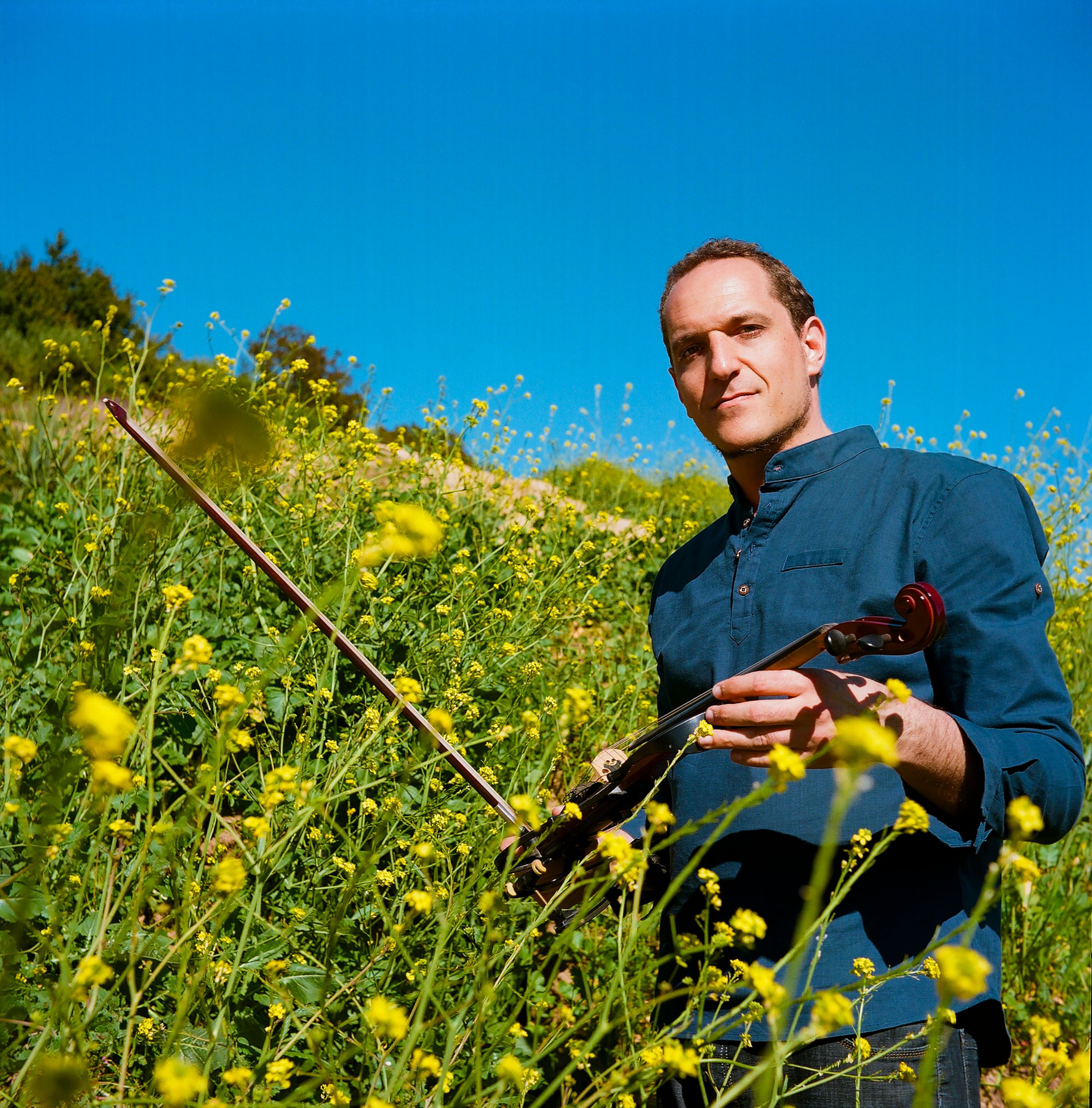 Cover image for Miguel Atwood-Ferguson