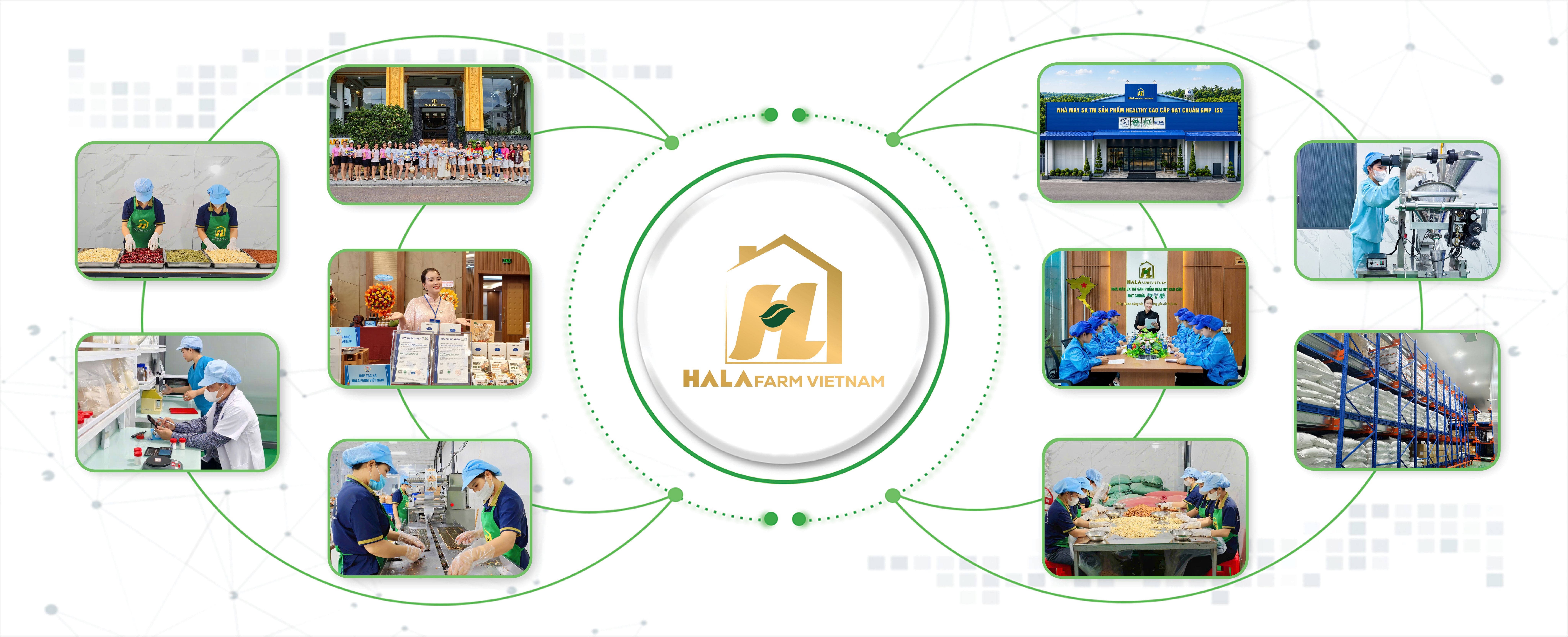 Hỗn hợp hạt điều, hạnh nhân, nho khô và trái cây sấy chụp gần từ trên xuống