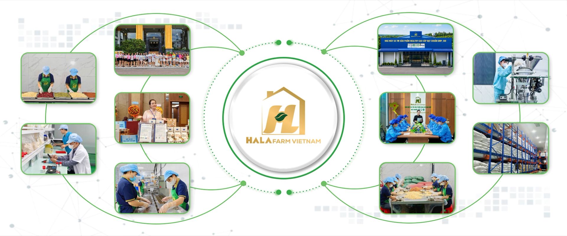 Hỗn hợp hạt điều, hạnh nhân, nho khô và trái cây sấy chụp gần từ trên xuống