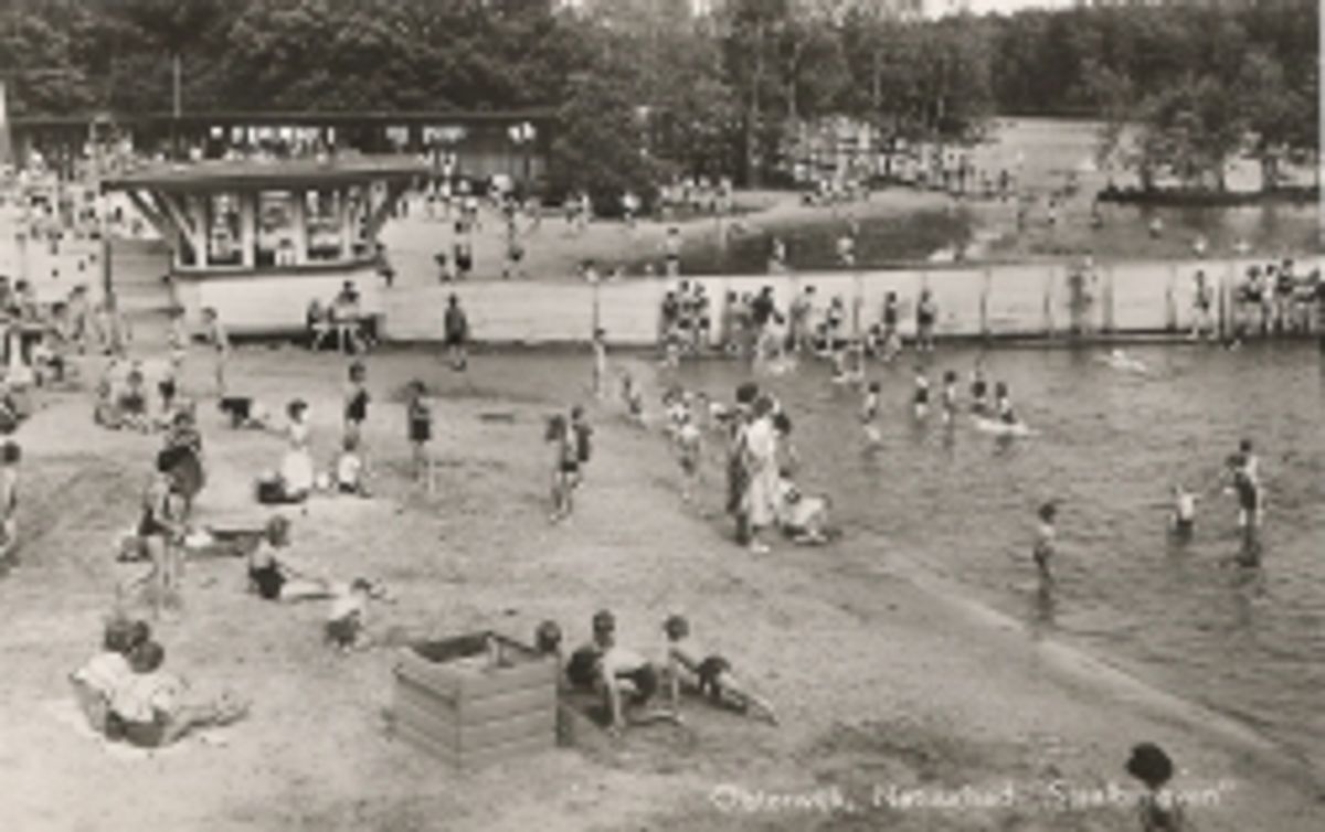 Gescheiden zwemmen in het Staalbergven. Foto ingezonden door P. Schellen