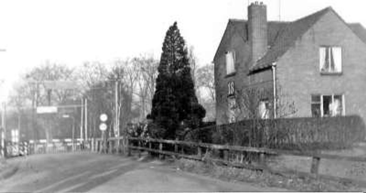 Foto: Jan van Hoof
