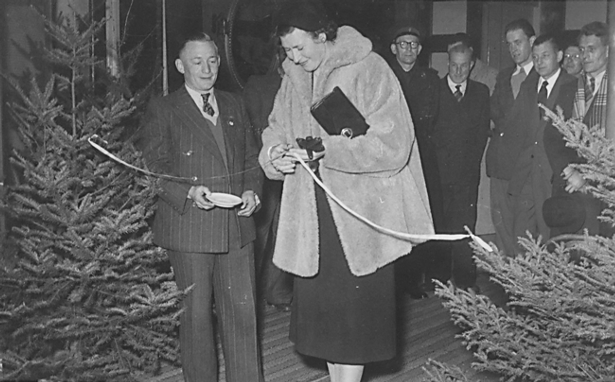 Een lint tussen twee kerstbomen wordt doorgeknipt bij de Vogelvereniging, Grave (foto: Fotostudio Jean Smeets, collectie BHIC 1907-007296)
