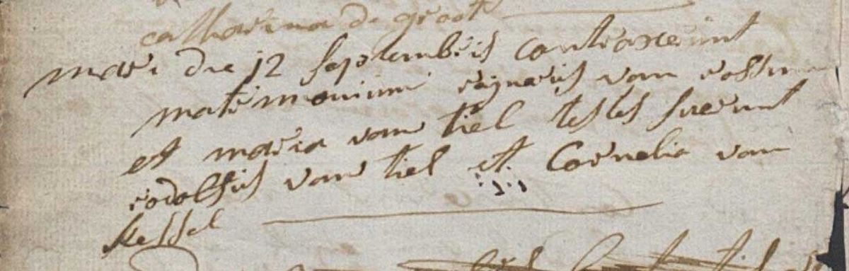 Afbeelding 15. RK Huwelijk Reinier met Maria van T(h)iel, 12 september 1784