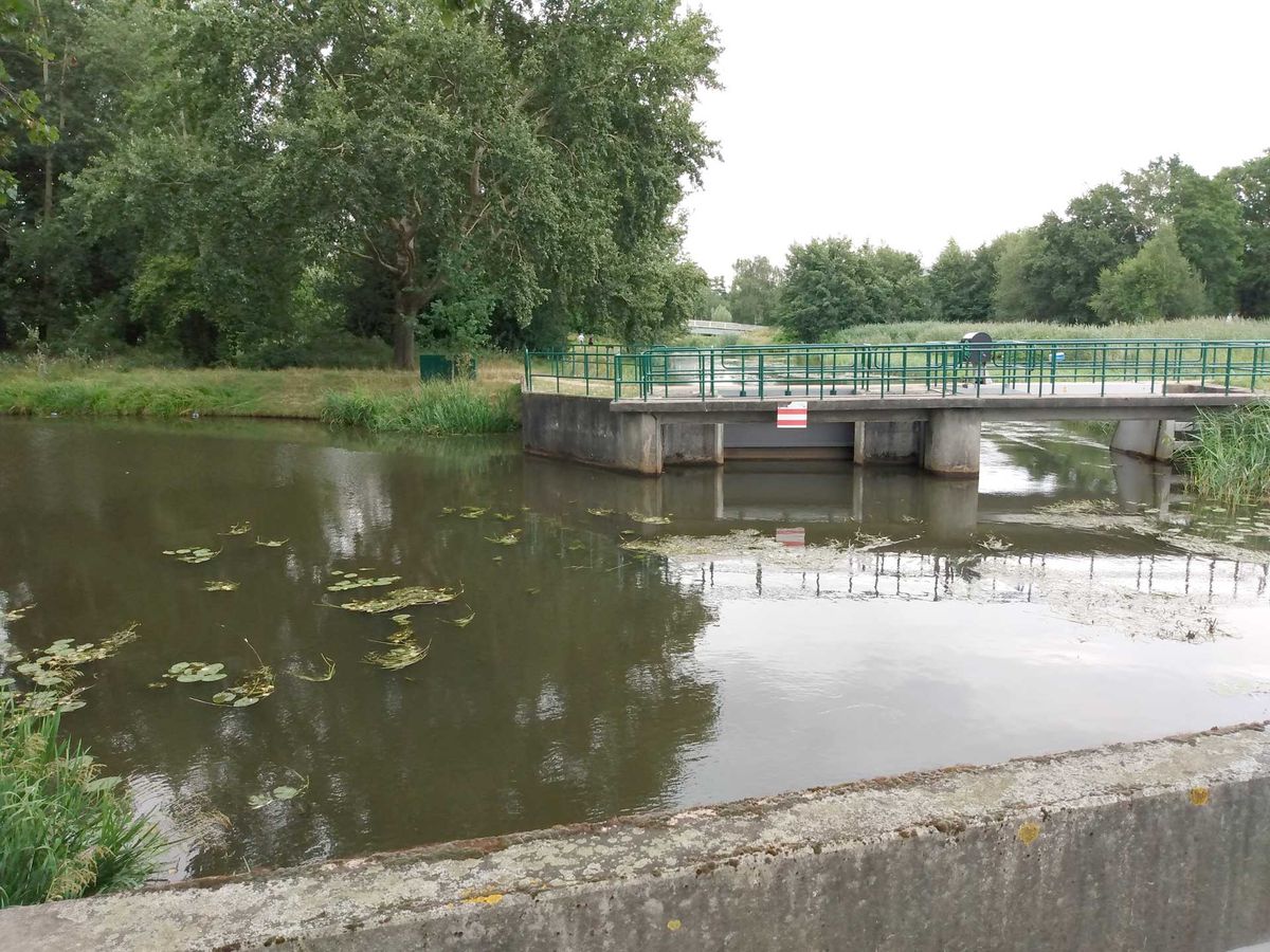 Het verdeelwerk in 2022 (foto: BHIC / Paul Huismans)