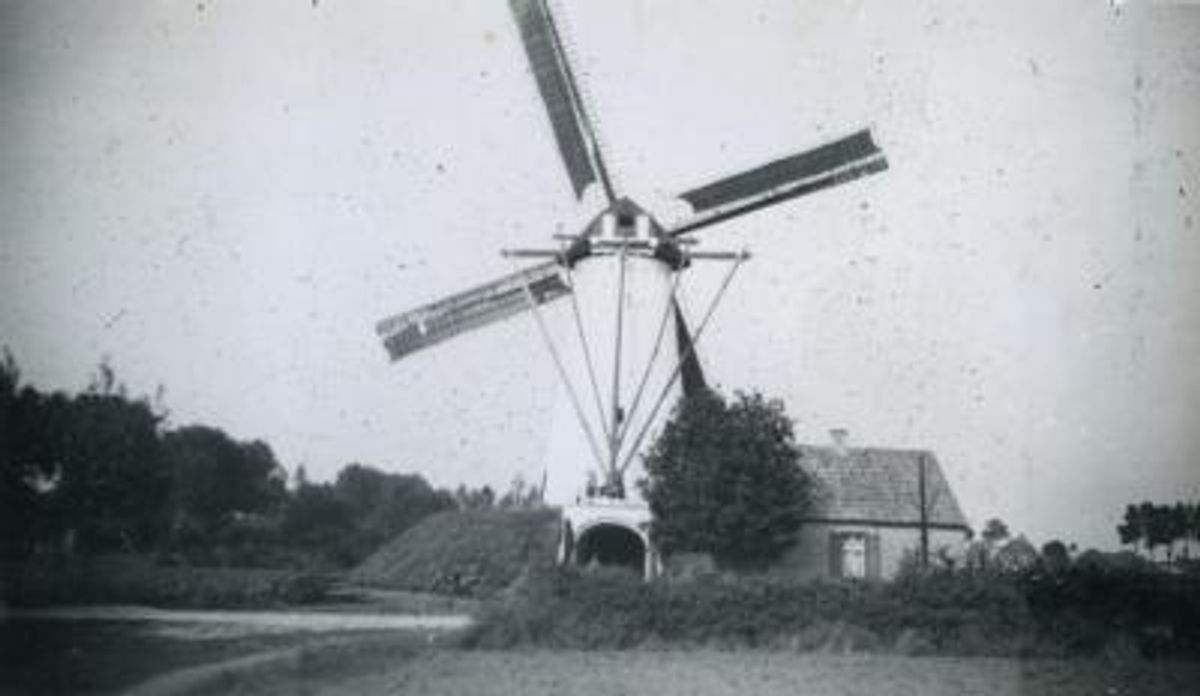 Heesch, De molen