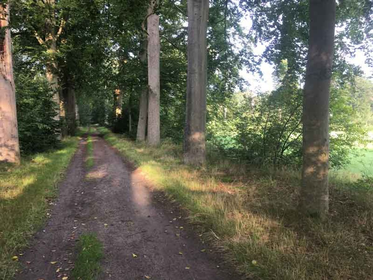 Pad ter hoogte van oprit buitenverblijf richting Klaverveldenweg