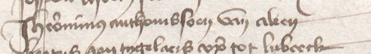inschrijving van Jheronimus Bosch