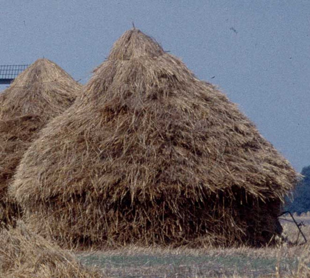 Foto: Hooimijt (bron: Rijksdienst voor het Cultureel Erfgoed; CC BY-SA 3.0)