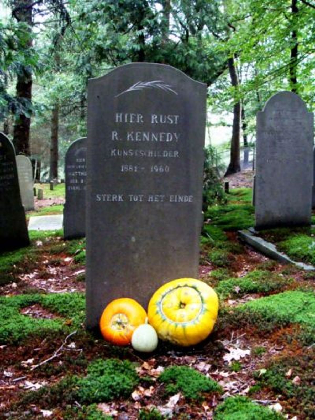 Het graf van de Kunstschilder Reinier Willem Kennedy, geboren 1881 te Dordrecht en overleden op 23-03-1960 op Vrederust. was er opgenomen sinds 13-03-1928. Hij heeft een voorliefde gehad voor pompoenen en Oostindischekers op te schilderen.