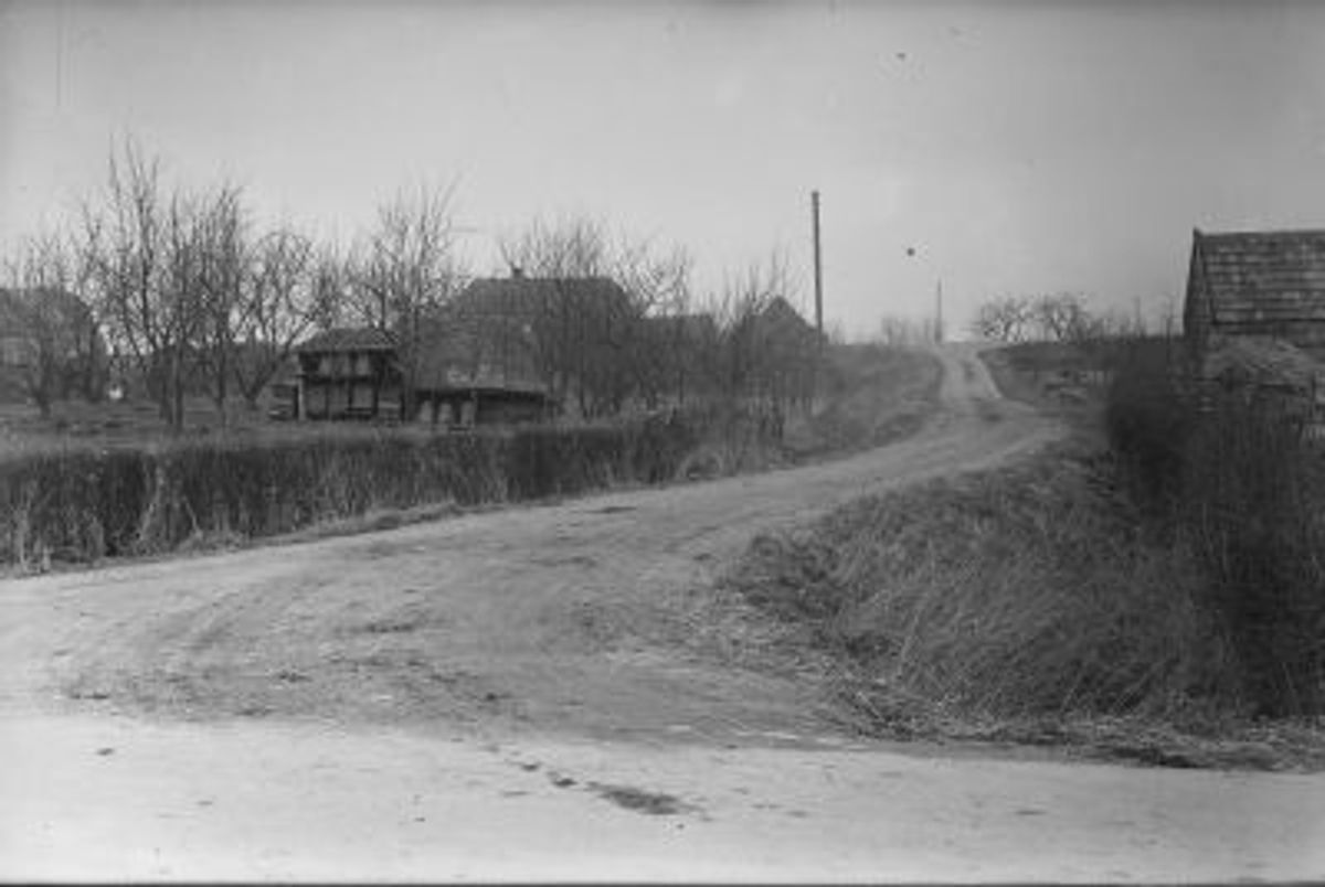 Laag Hemaal bij de Maasdijk, 1943 (Het Zuiden, BHIC)